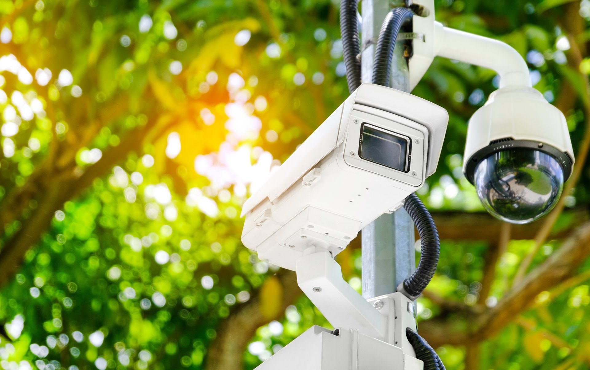 CCTV on Public Area — Wilmington, DE — Advanced Security Systems Inc