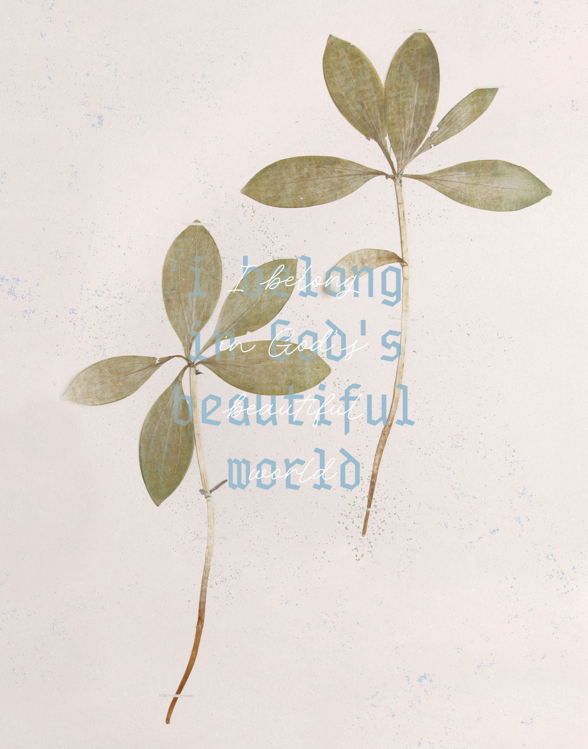 A picture of a plant with the words