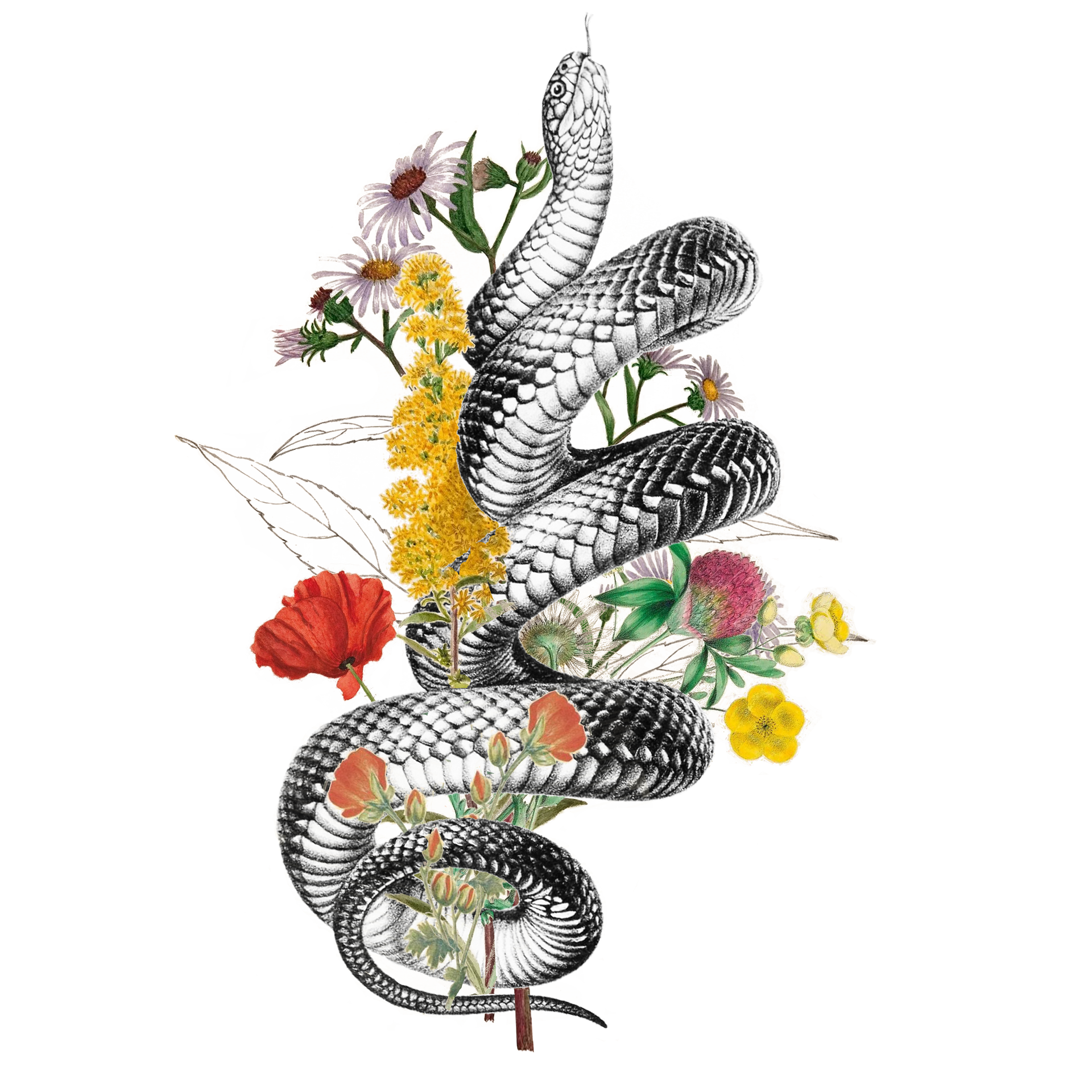 A snake is surrounded by flowers on a white background. Custom Design by Sarah Rosie Studios.