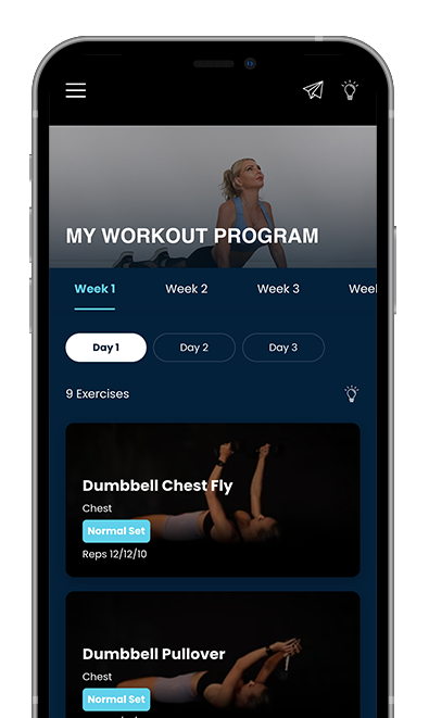 A screenshot of a workout program on a cell phone.