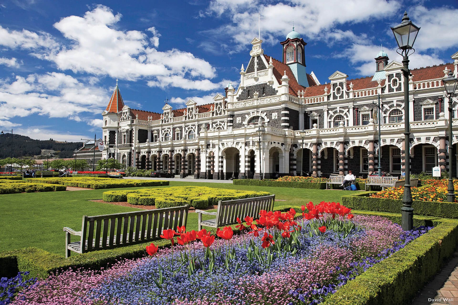 The Mainlander Train Journey | South Island NZ