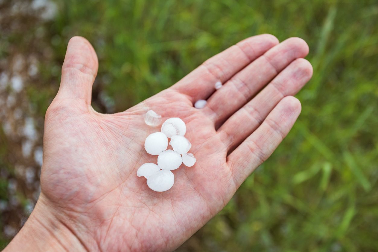 hail damage