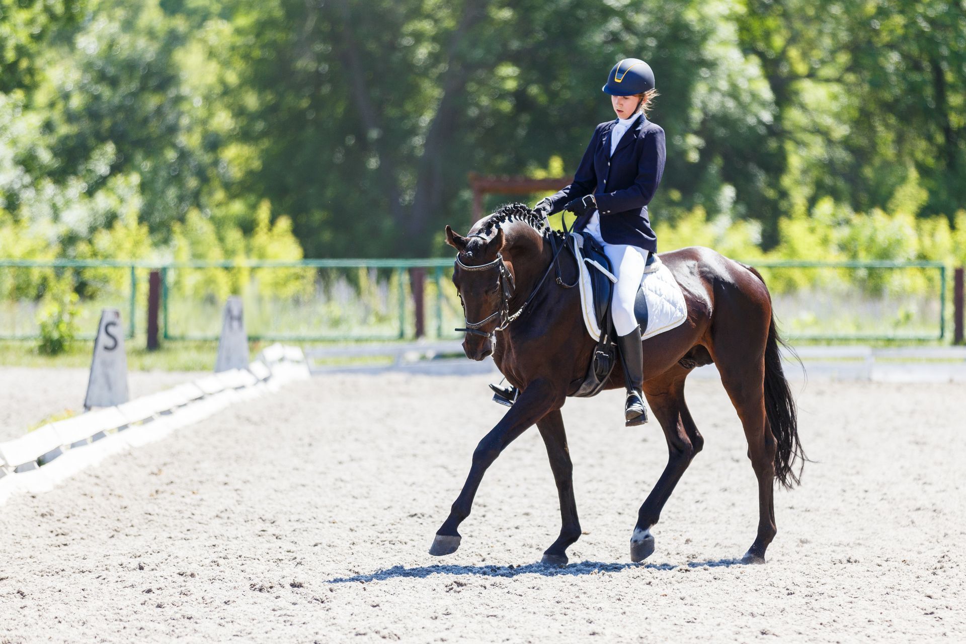 equestrian features you must have