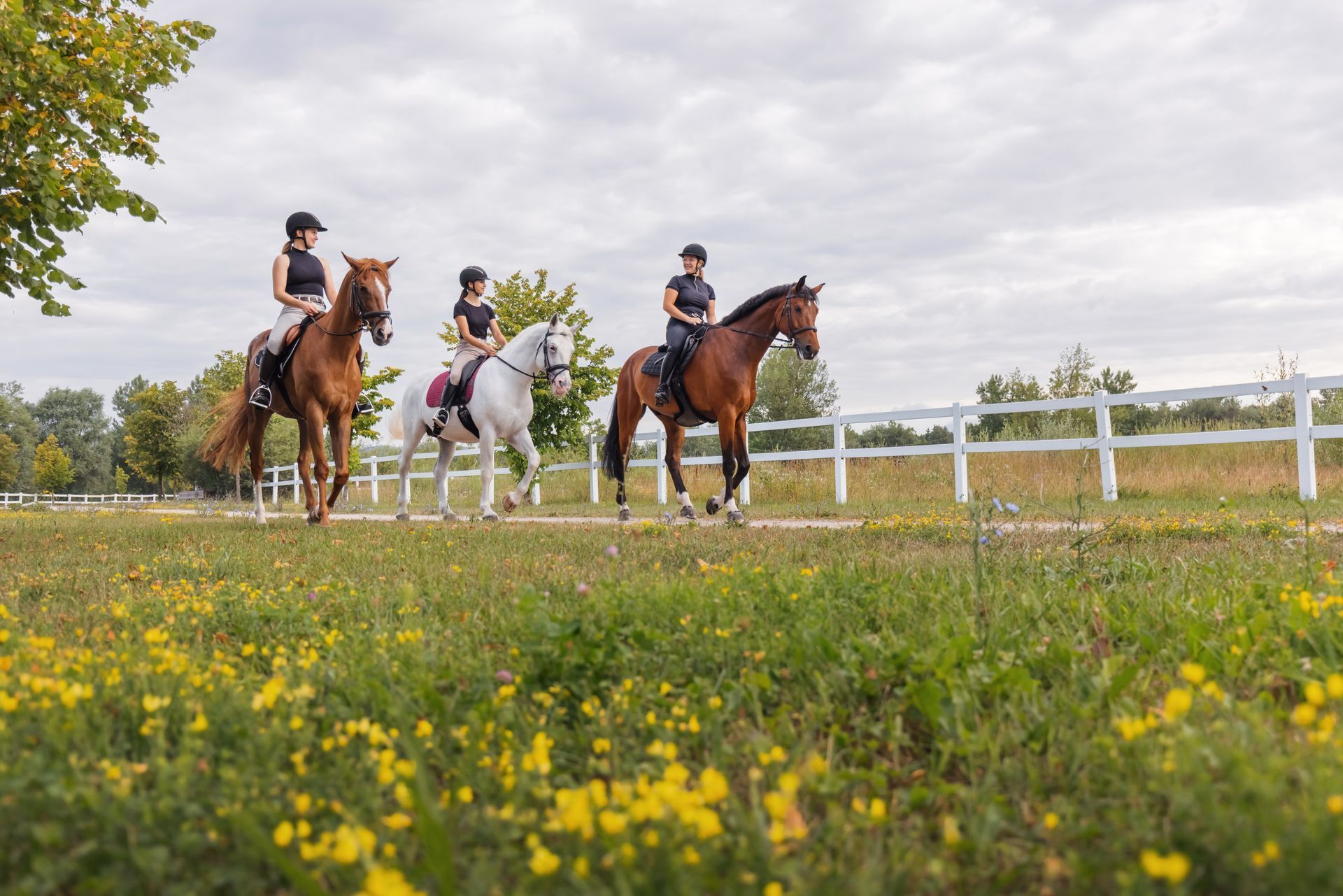 equestrian in Dallas Texas