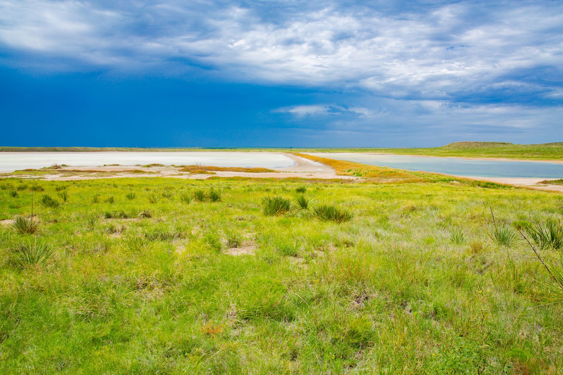 Practice Sustainable Land Management on a Ranch | Ranger Ridge