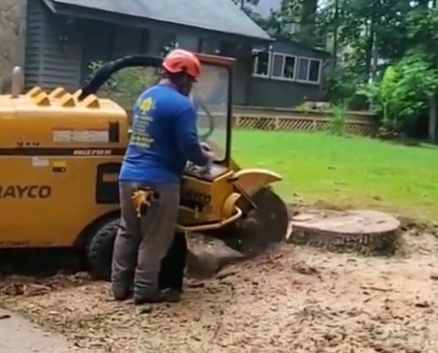 Stump grinding and stump removal in Pooler, GA