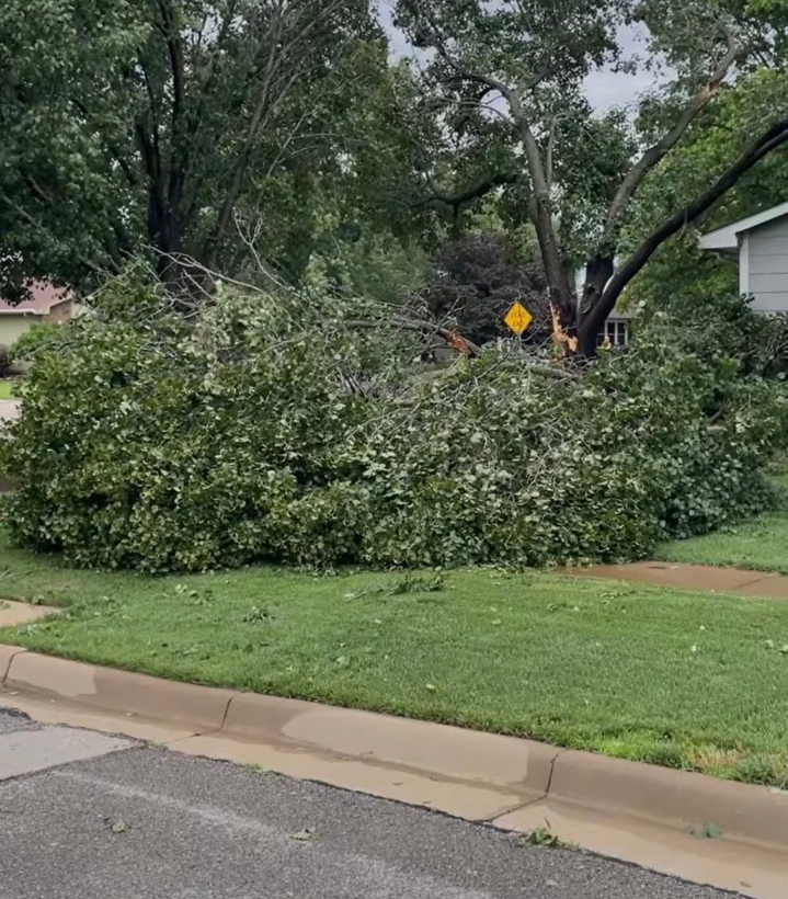Emergency storm debris response in Pooler, Georgia