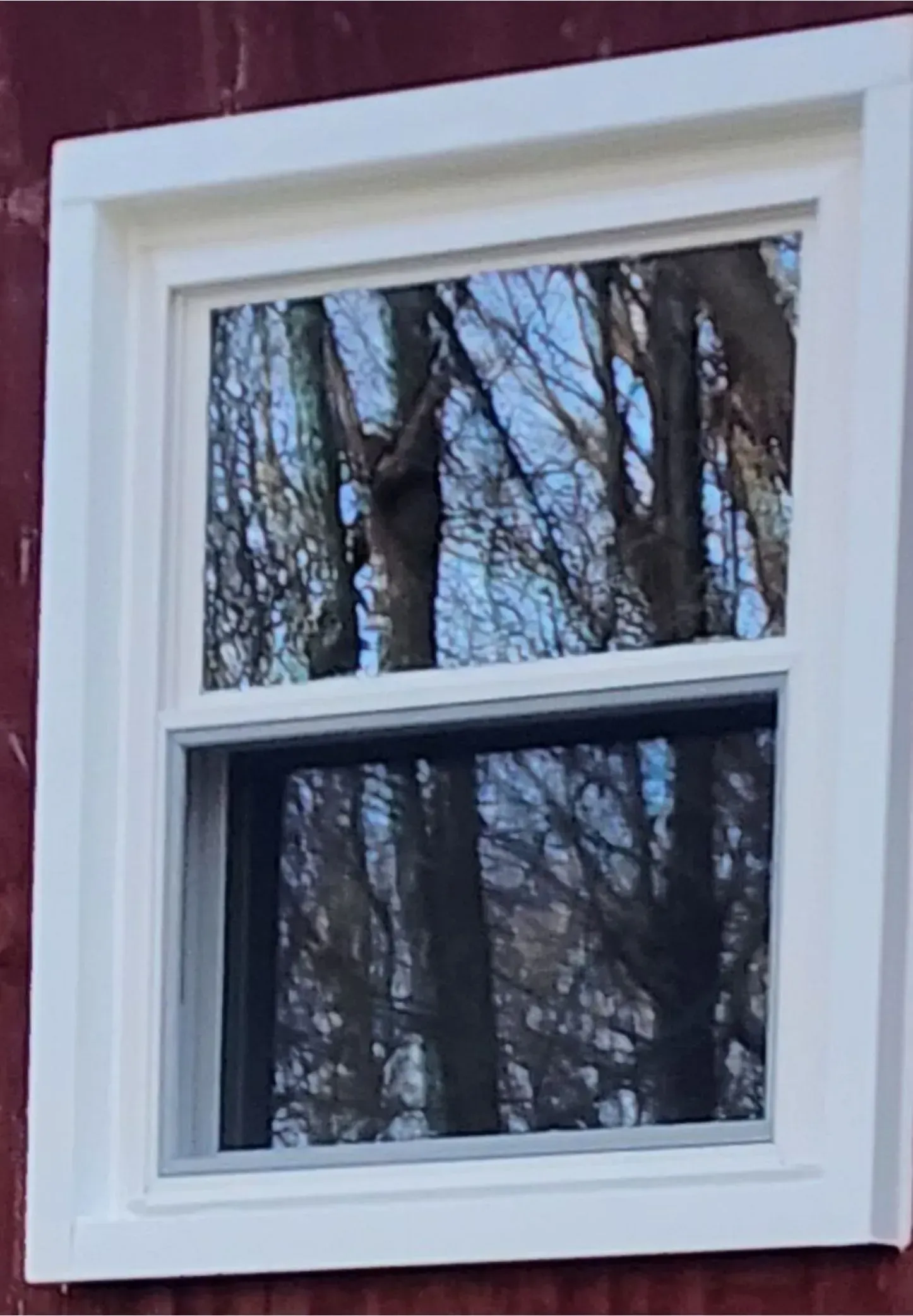White-framed window reflecting bare trees on a red exterior wall