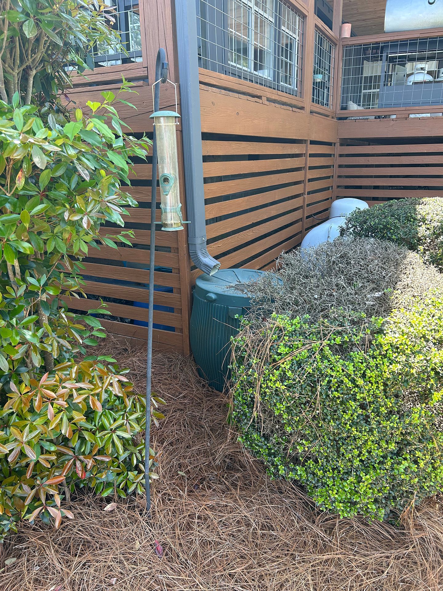 Garden corner beside a wooden house with shrubs, a fence, and a glass light fixture
