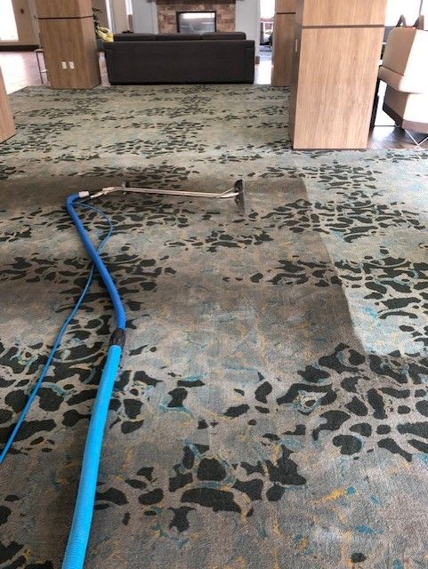 Carpet cleaner machine scrubbing a gray carpet near a window.
