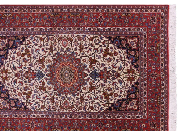 Person steam cleaning a patterned rug indoors with a steam cleaner, visible vapor.