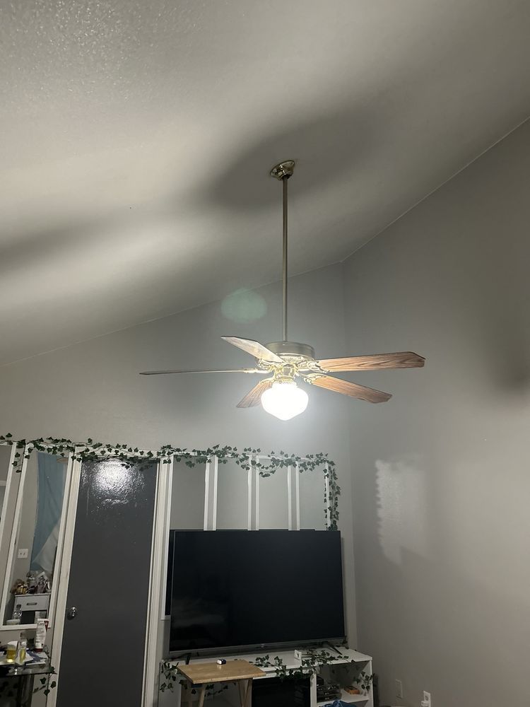 Ceiling fan hanging from a high, angled ceiling. A large TV sits below it, with a decorative vine above it.