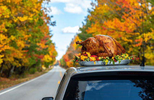 Roasted turkey on a car roof on a tree-lined autumn road