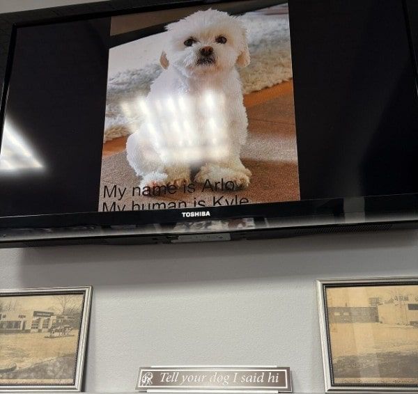 Dog on TV in Waiting Room