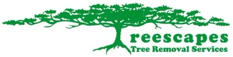 Treescapes Tree Removal Service Treescapes Tree Removal Service
