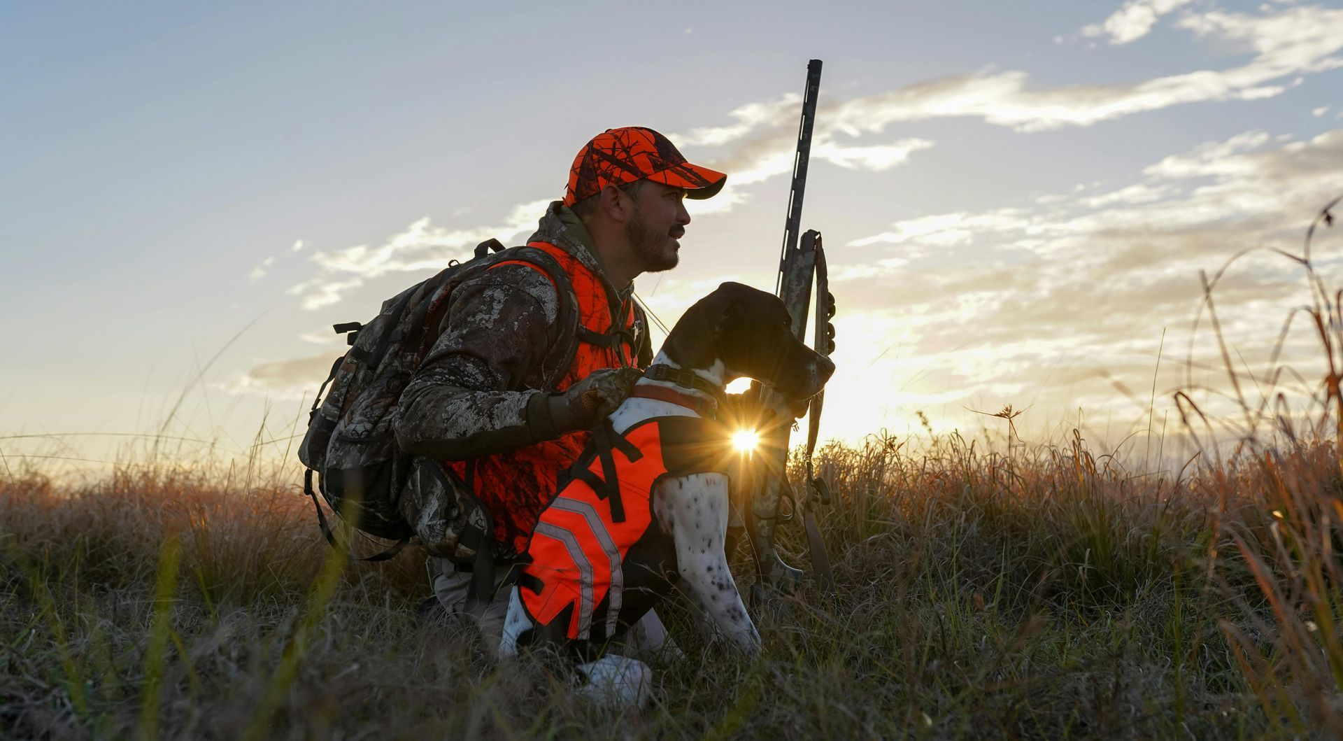 hunting dog and man