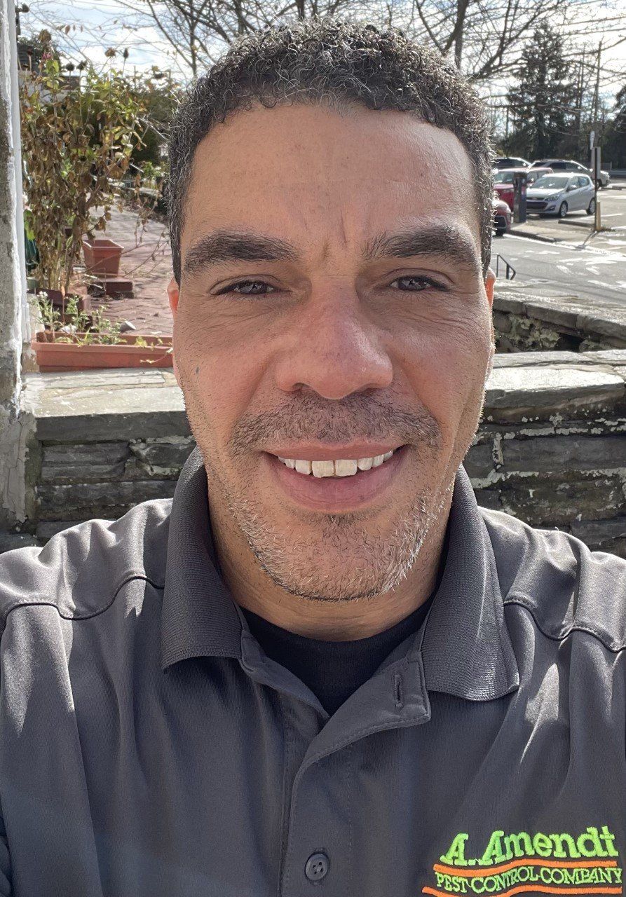 Wildlife Problems — Bill Razzano in Glenolden, PA