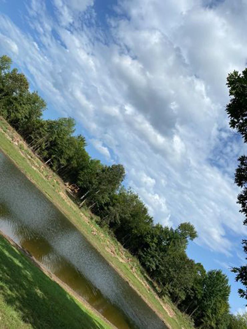 A river surrounded by trees and grass with a blue sky in the background.