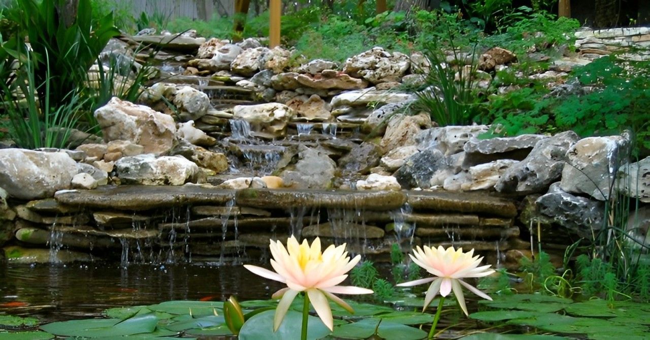 A garden filled with lots of plants and flowers.