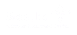 Scouts Skegness & Spilsby District Logo