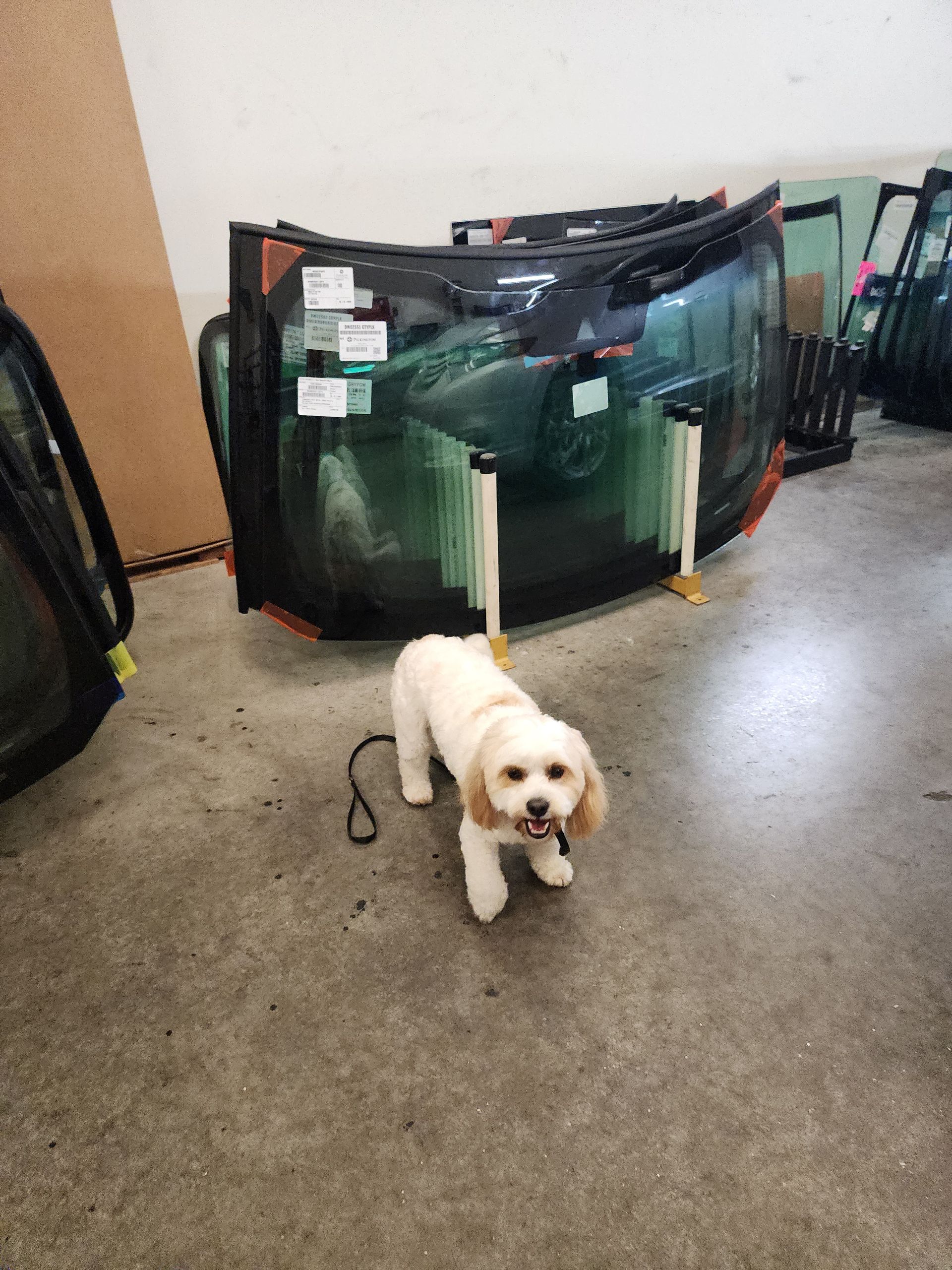 Mr. Murphy of A+ Auto Glass & Calibrations