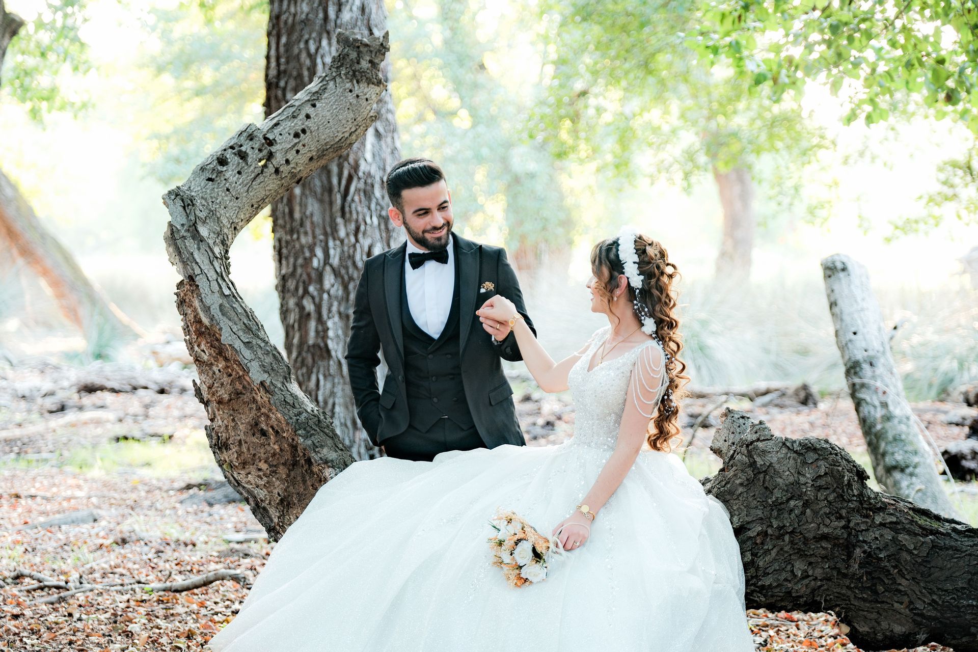 Drone Bride and groom seated by a tree in a sunlit outdoor setting