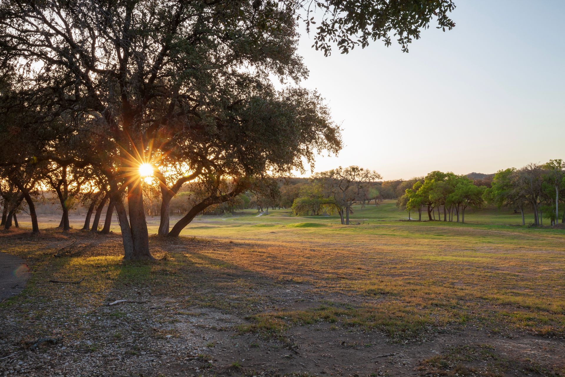 Sunset over a grassy field with trees casting long shadows