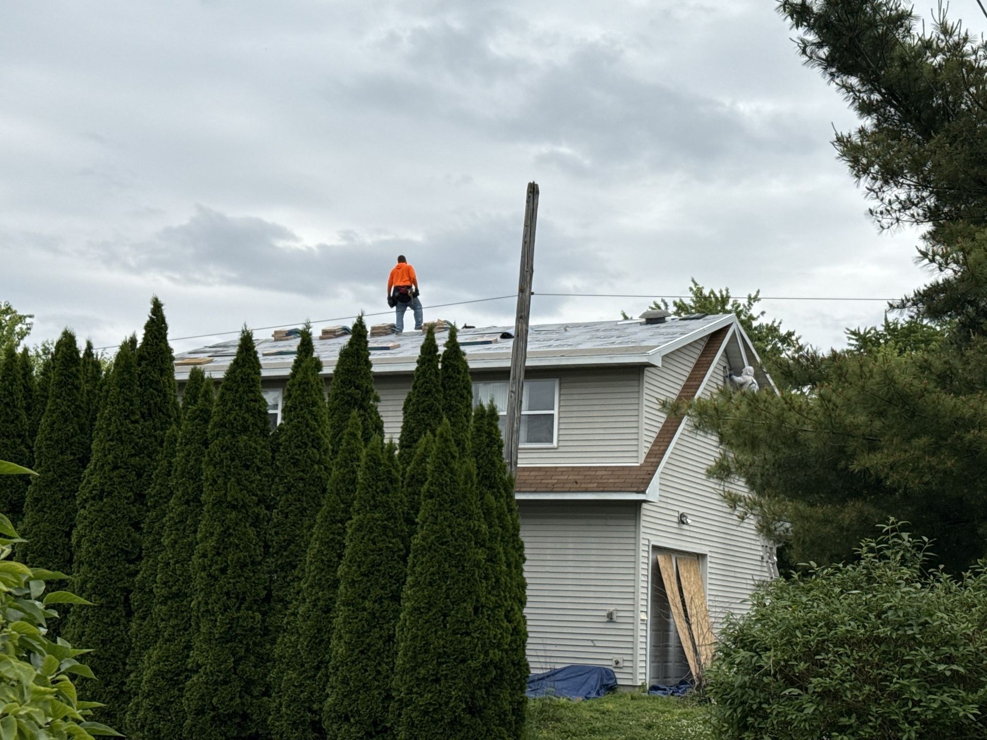 A worker in an orange shirt stands on a roof undergoing repairs, with a row of evergreen trees in the foreground.