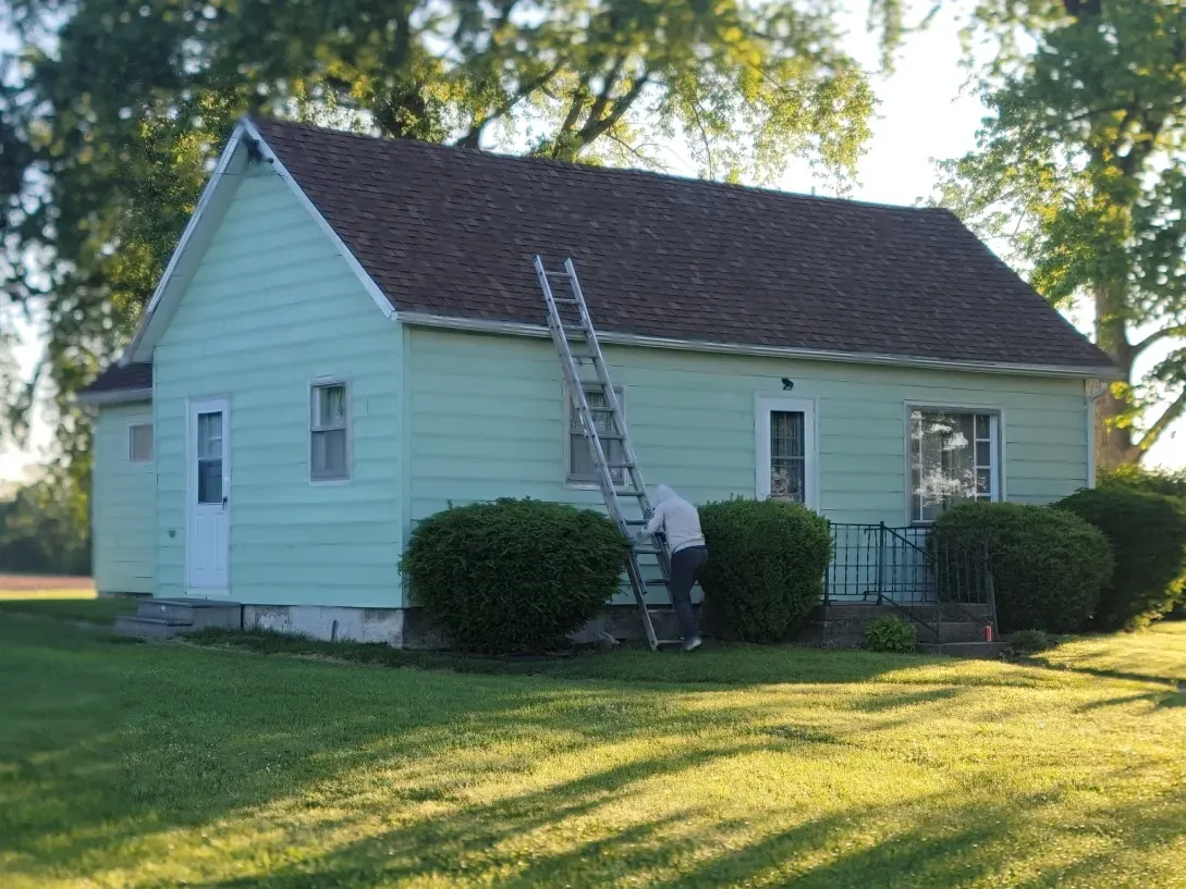 A person uses a ladder to reach the roof of a pale green house in a sunny yard with rounded bushes.