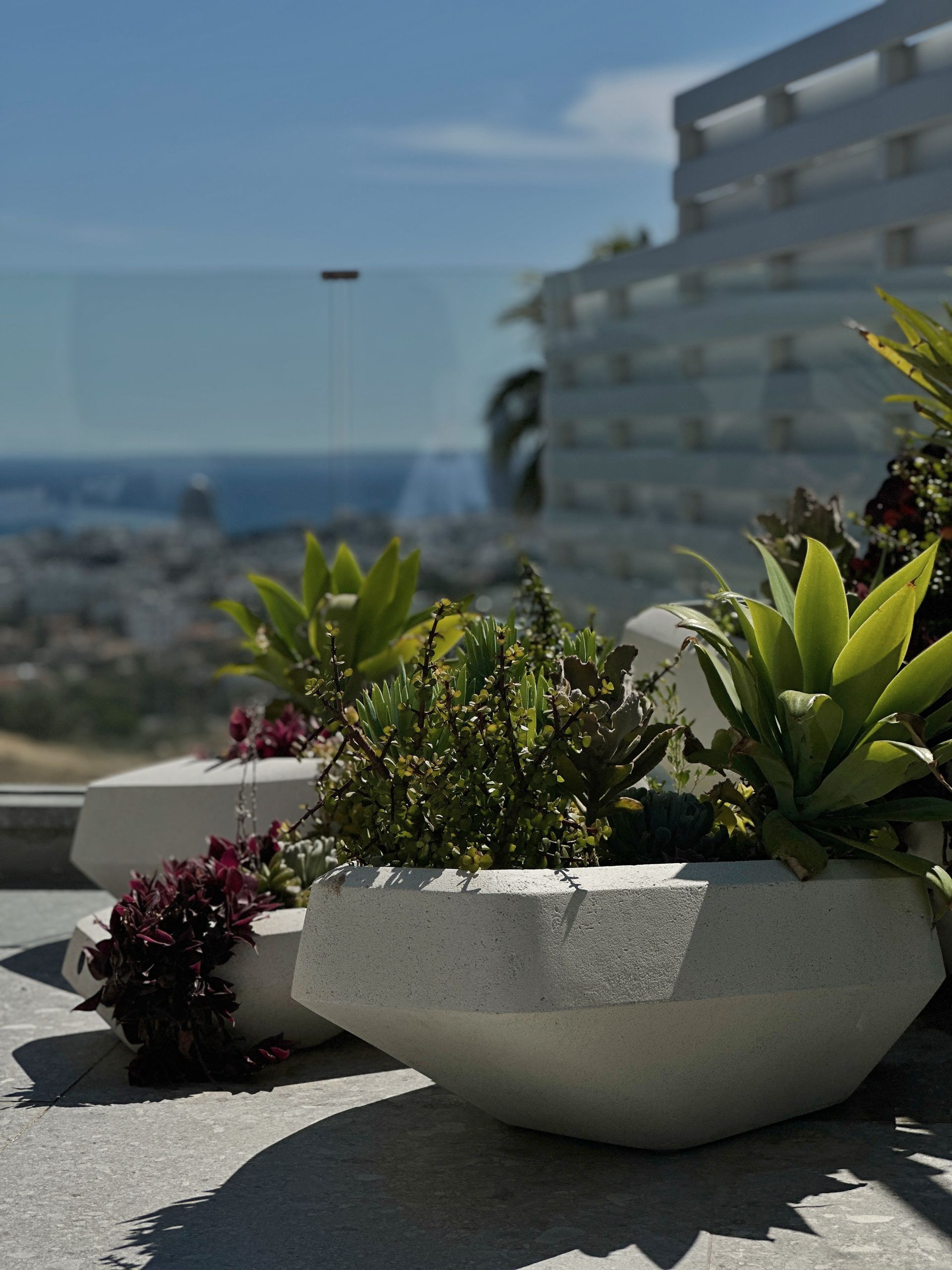 White geometric planters with succulents overlooking Limassol and the Mediterranean