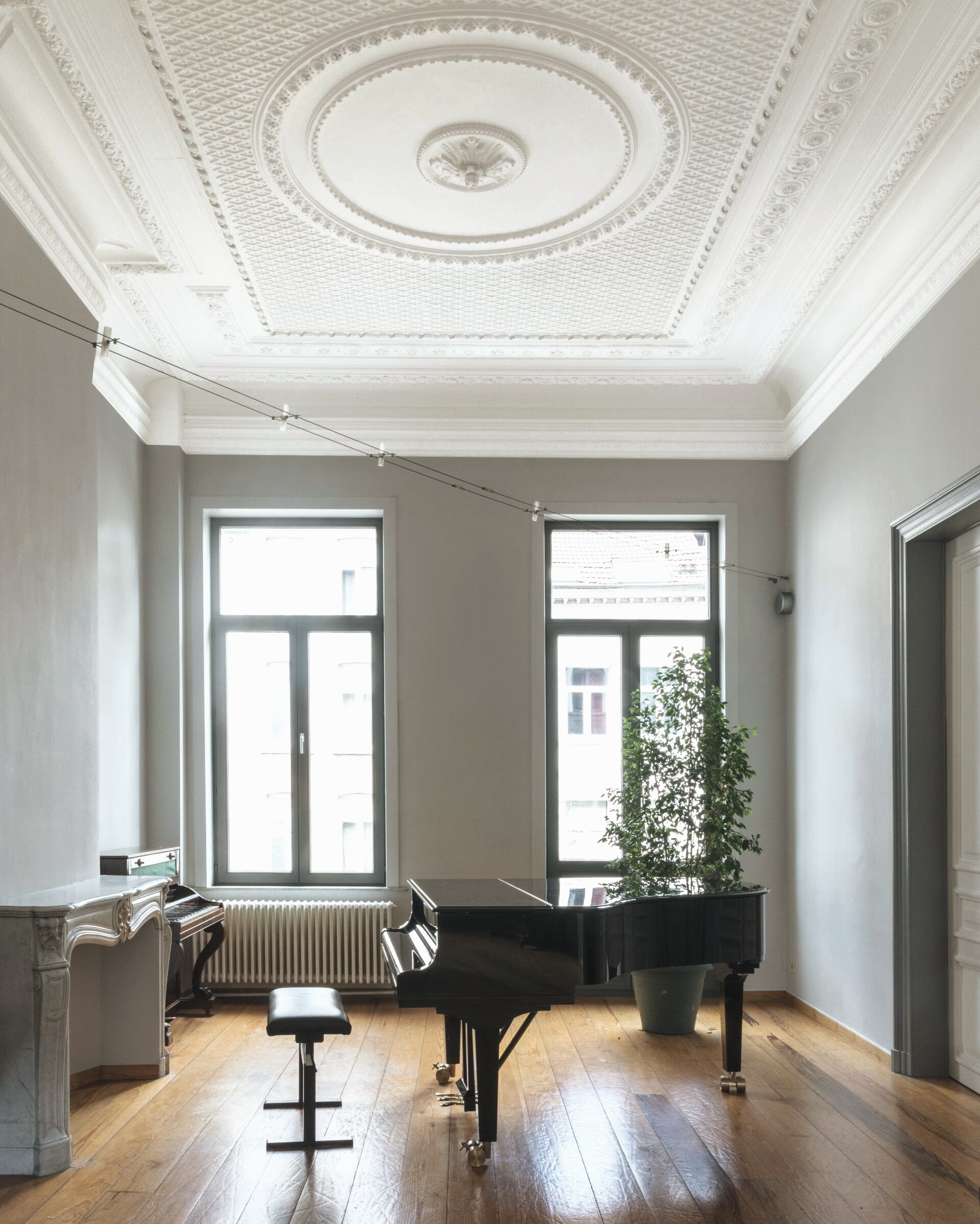 Elegant Berlin Altbau interior with restored ornamental ceiling and contemporary design