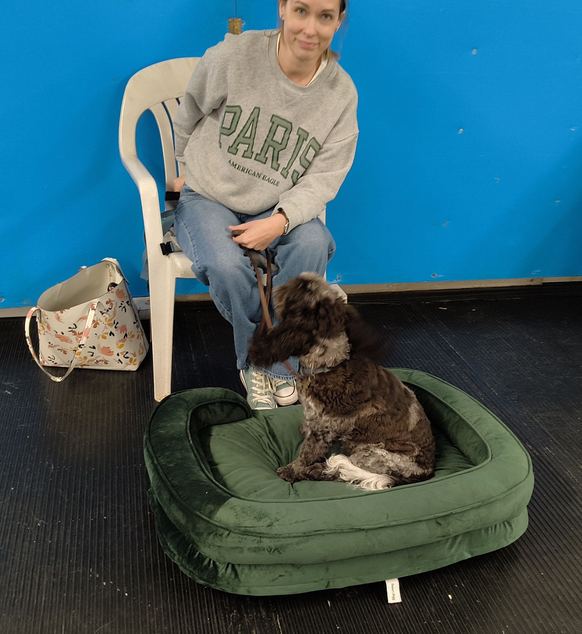 A person in a gray sweatshirt and jeans sits in a chair, interacting with a brown dog sitting on a green pet bed.