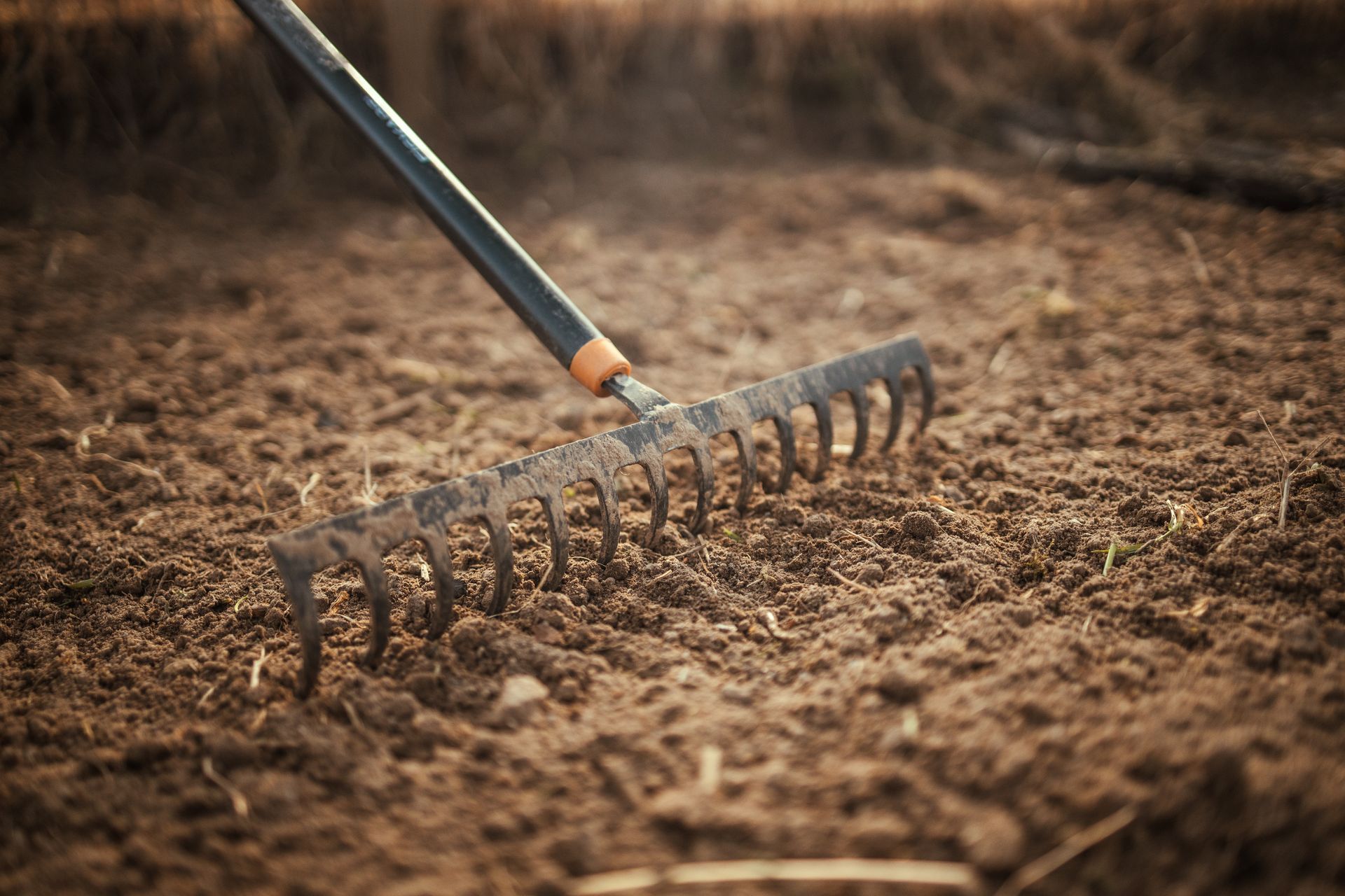 Garden rake on dry soil, tines dragging through dirt