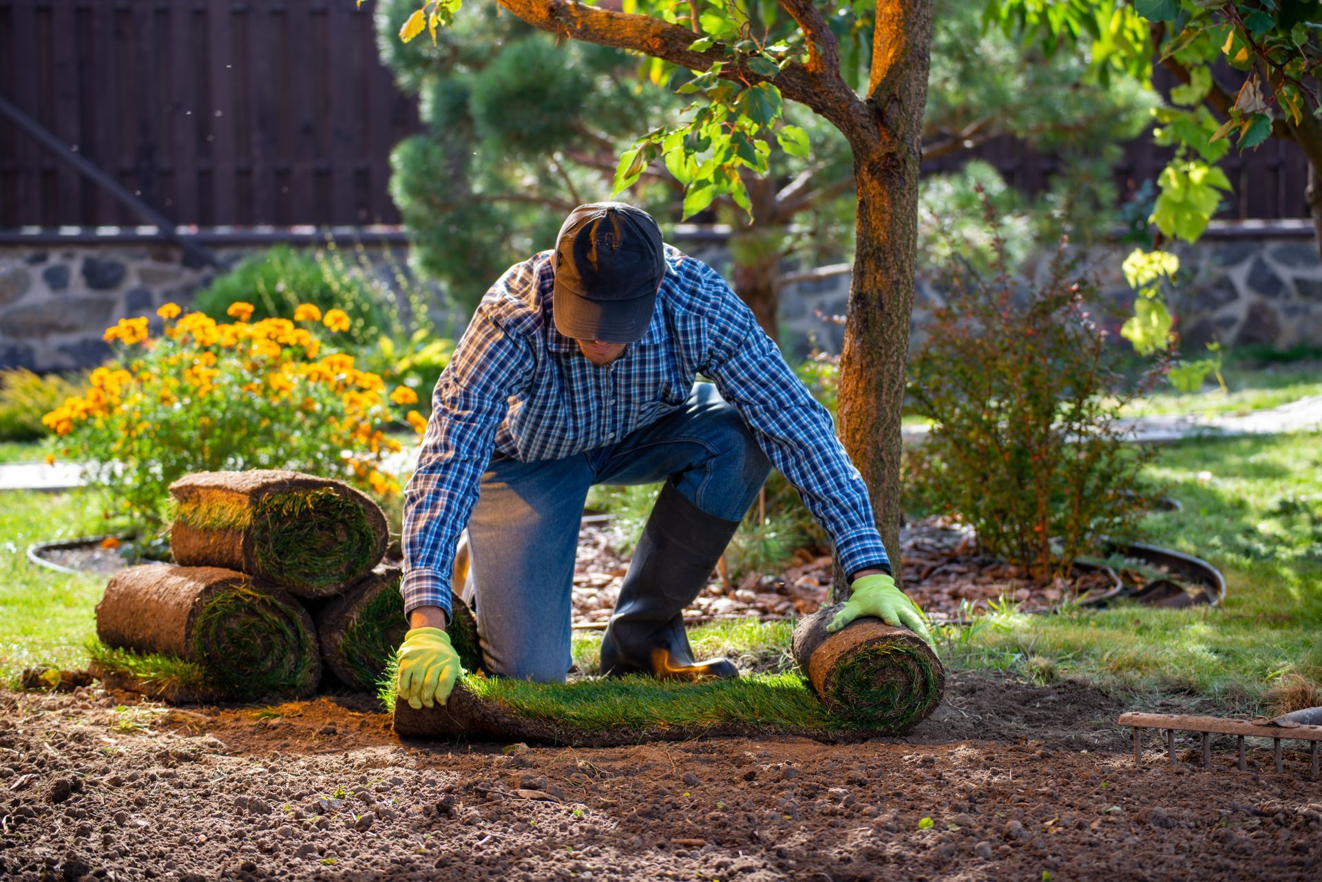 Person laying sod in a garden beside a small tree, with rolled turf and flowers nearby