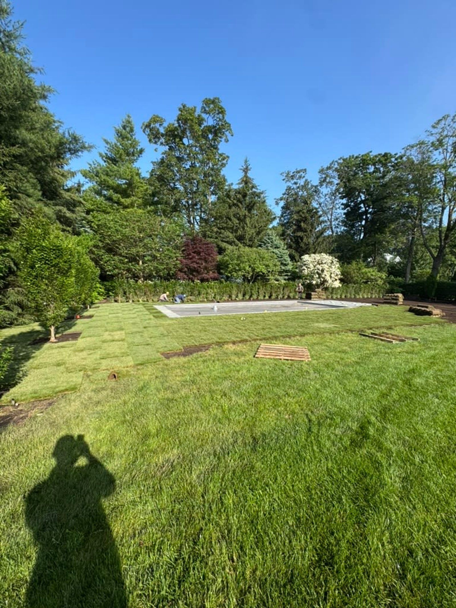 Sunny garden with green lawn, trees, and a small white fence around a flower bed.