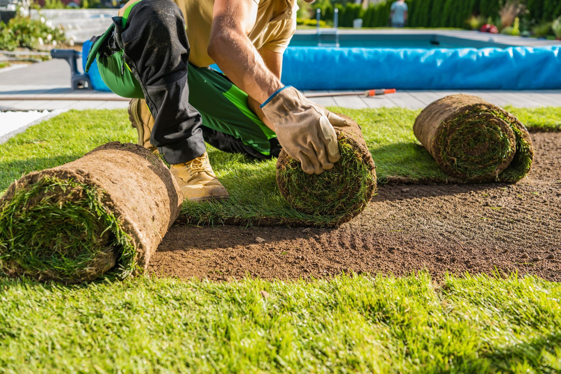 Worker laying rolls of sod in a backyard beside a swimming pool