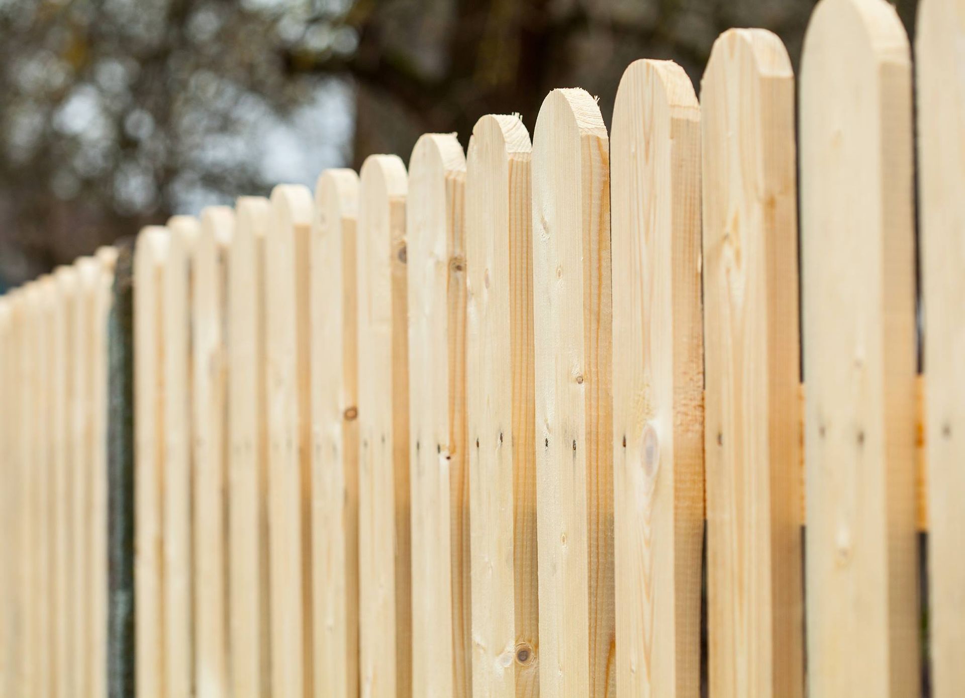 A Close Up Of A Wooden Picket Fence With Trees In The Background — Ballina Best Fencing In Ballina, NSW