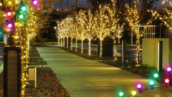 Trees covered in golden string lights line a walkway at night.