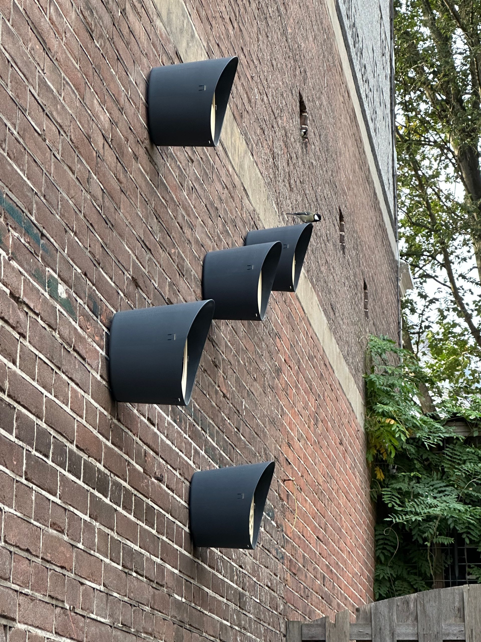 vogelhuisjes