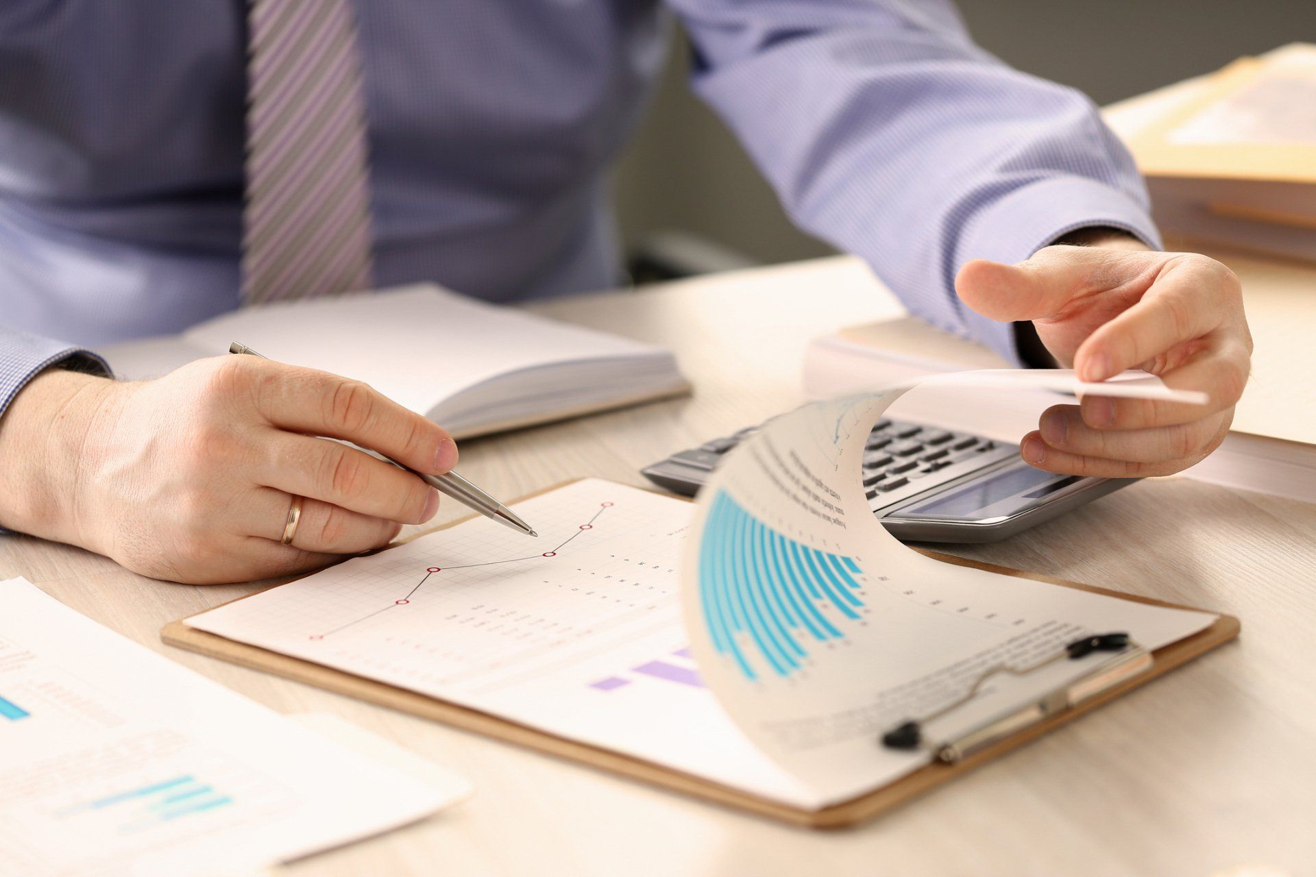 Financial Report Audit — Newcastle, NSW — Neil C Hocquard