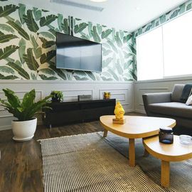 Bright living room with leaf wallpaper, wall TV, gray sofa, coffee tables, and potted plants.