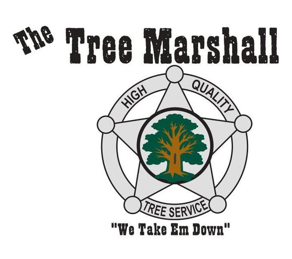 the tree marshall