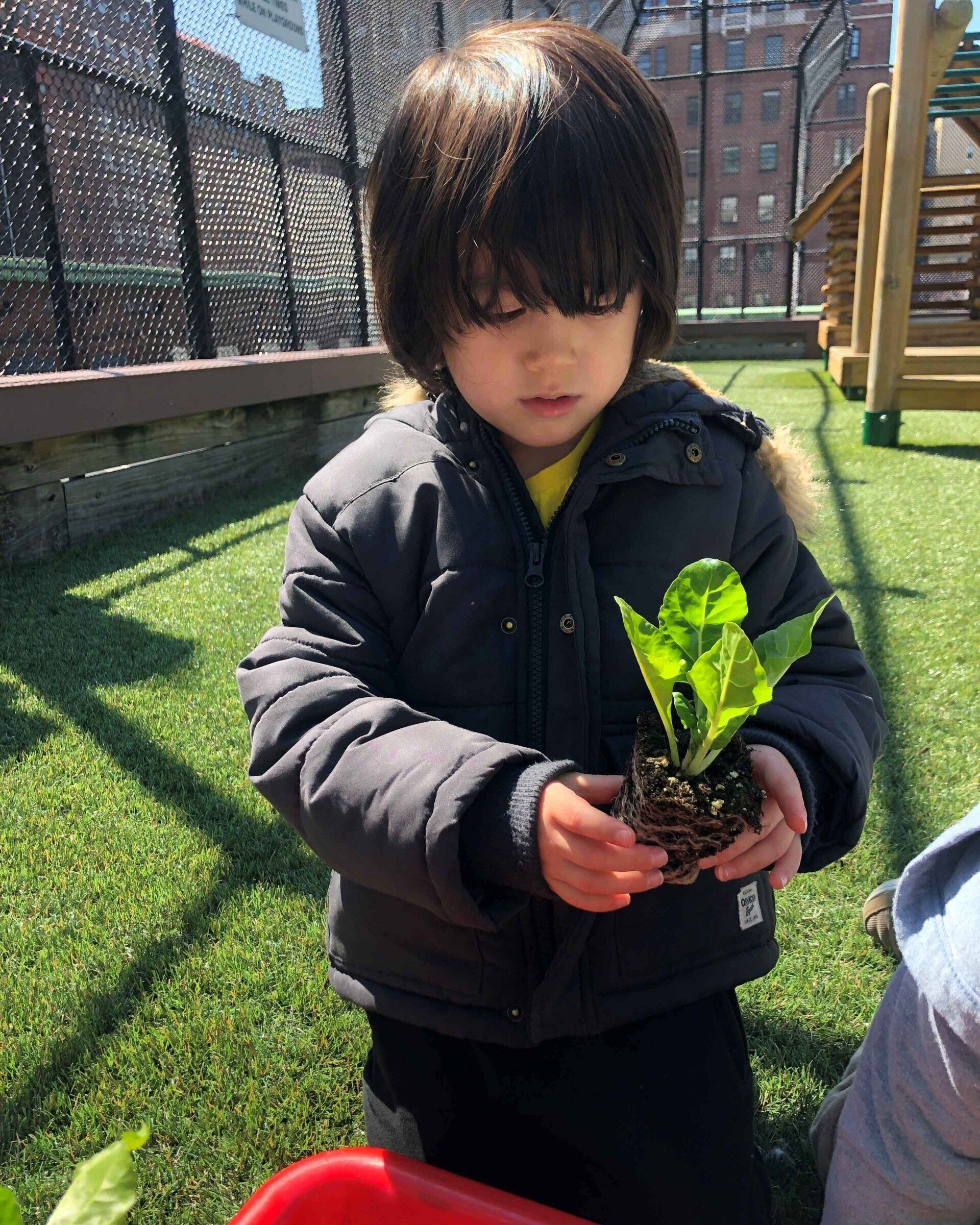 FPC Nursery School Plants