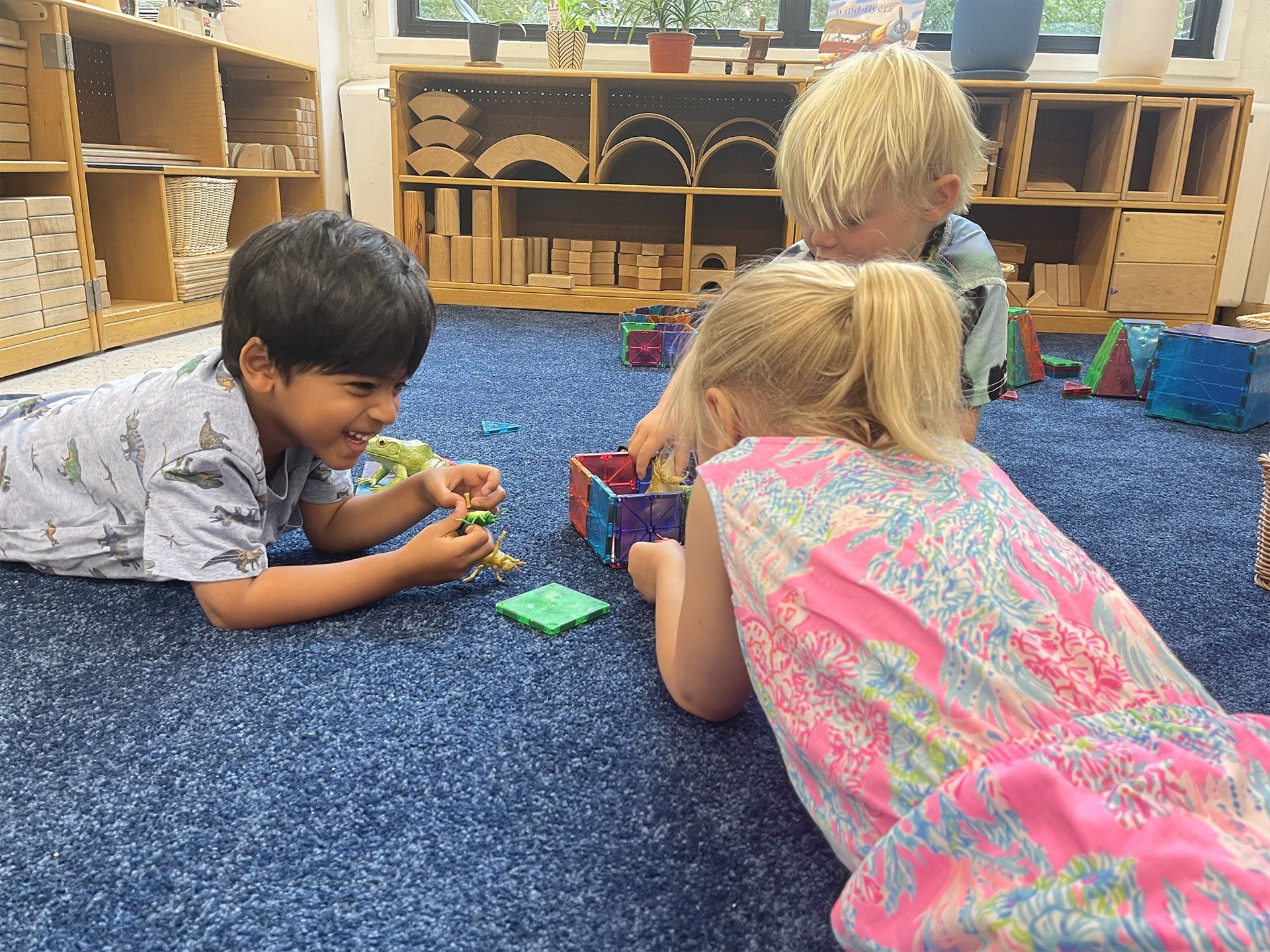 Collaboration with Peers
