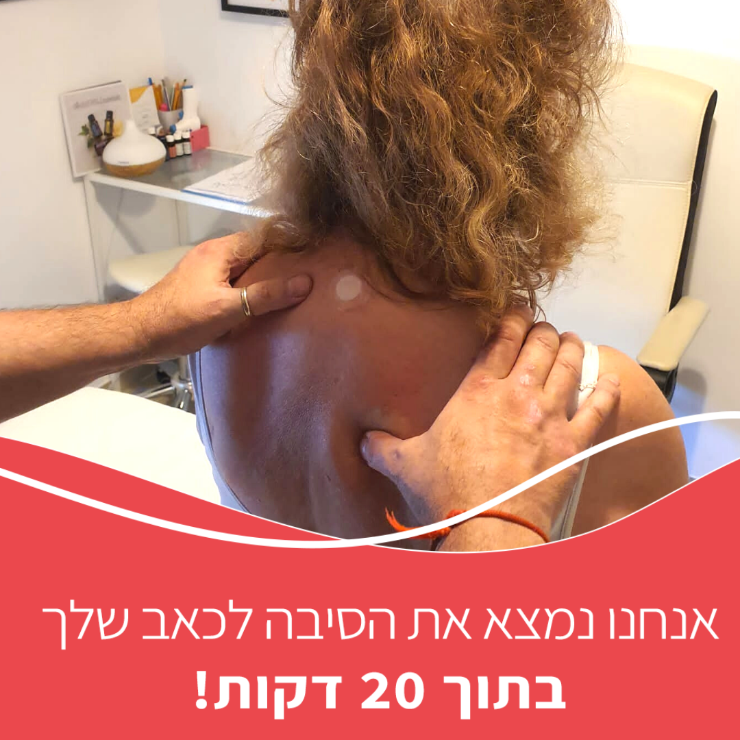 2Zone הצלחה
