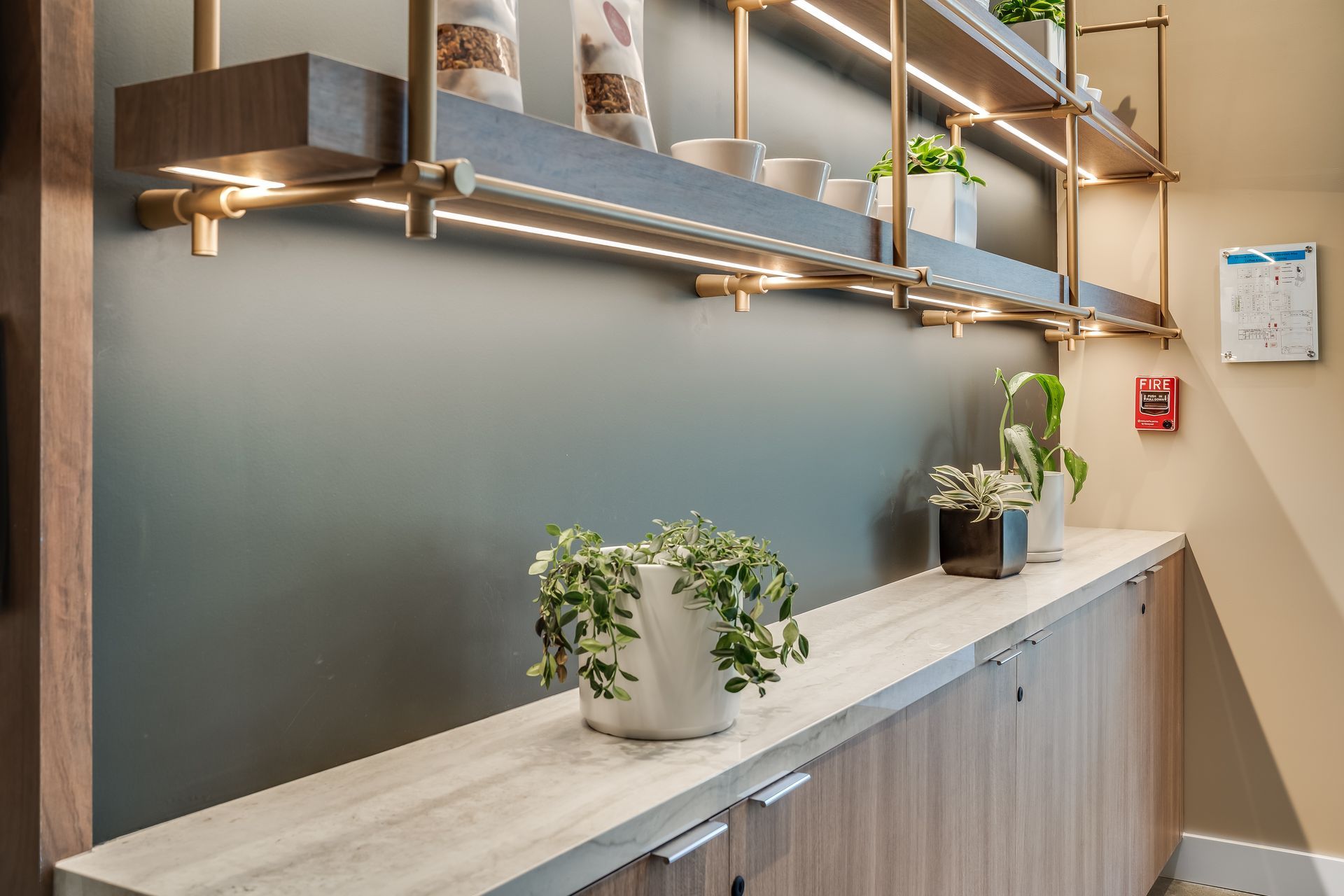Modern office hallway with built-in shelves, potted plants, and a long cabinet under warm lighting