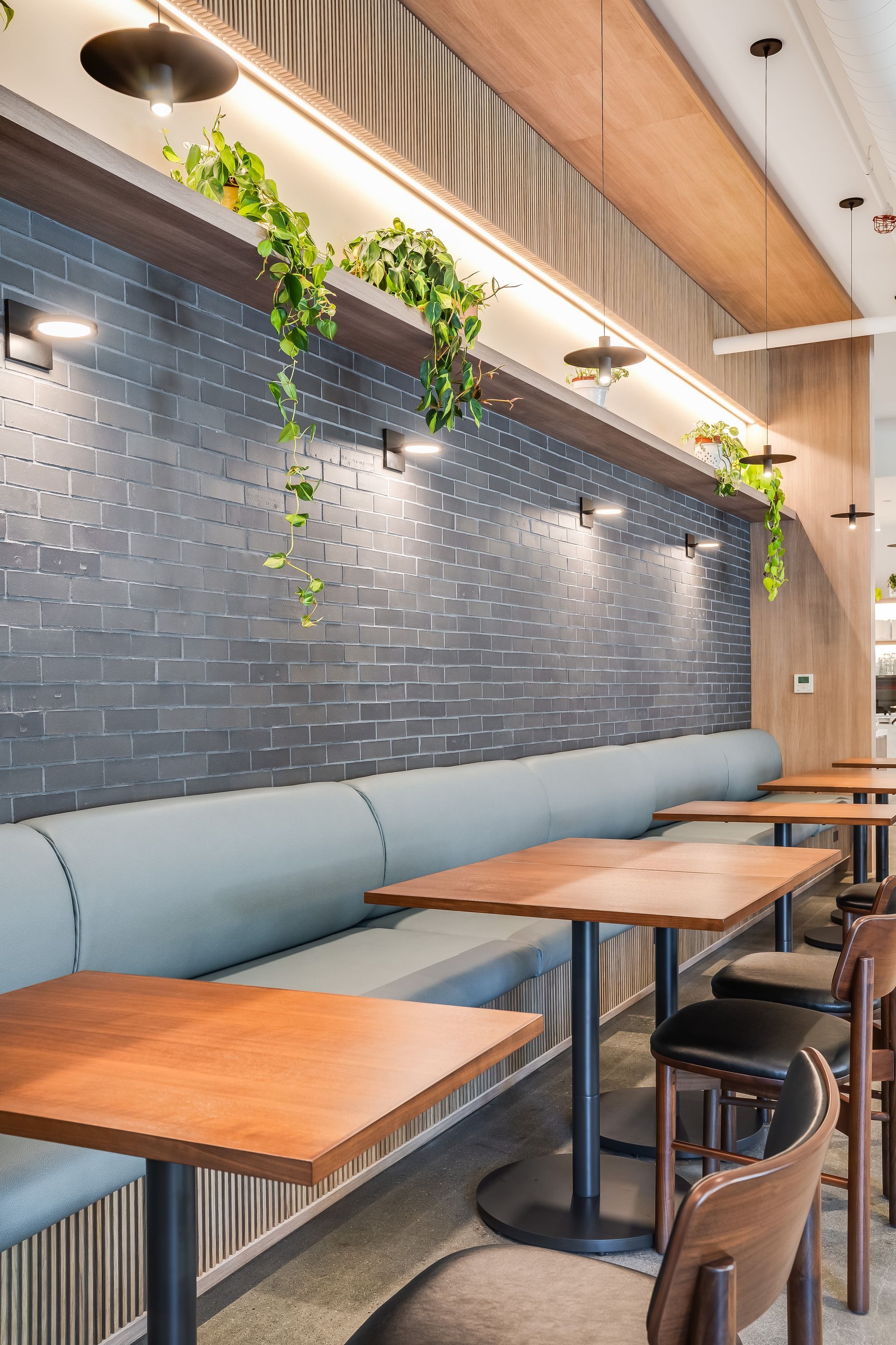 Modern café interior with blue banquette seating, wooden tables, and hanging greenery against a tiled wall