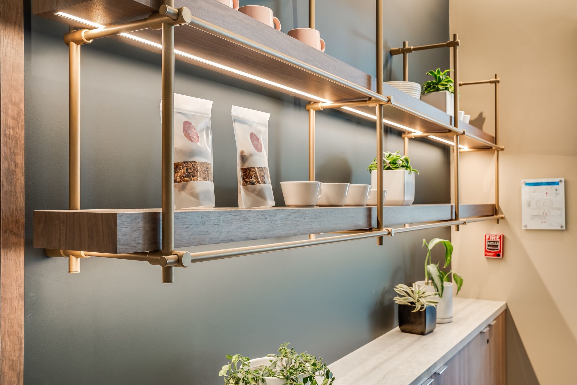 Modern wall shelves with warm LED lighting, plants, and packaged items in a sleek interior.