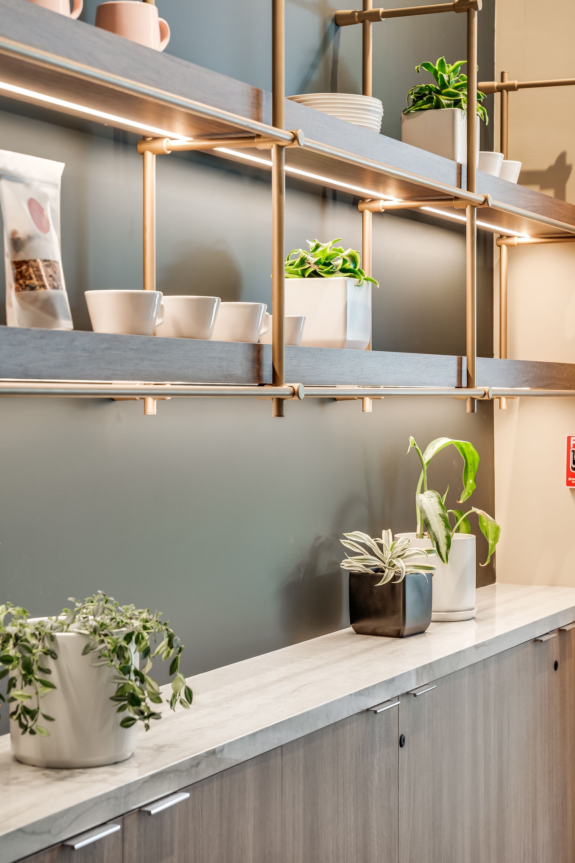 Minimalist shelving with potted plants and warm under-shelf lighting above a wooden counter