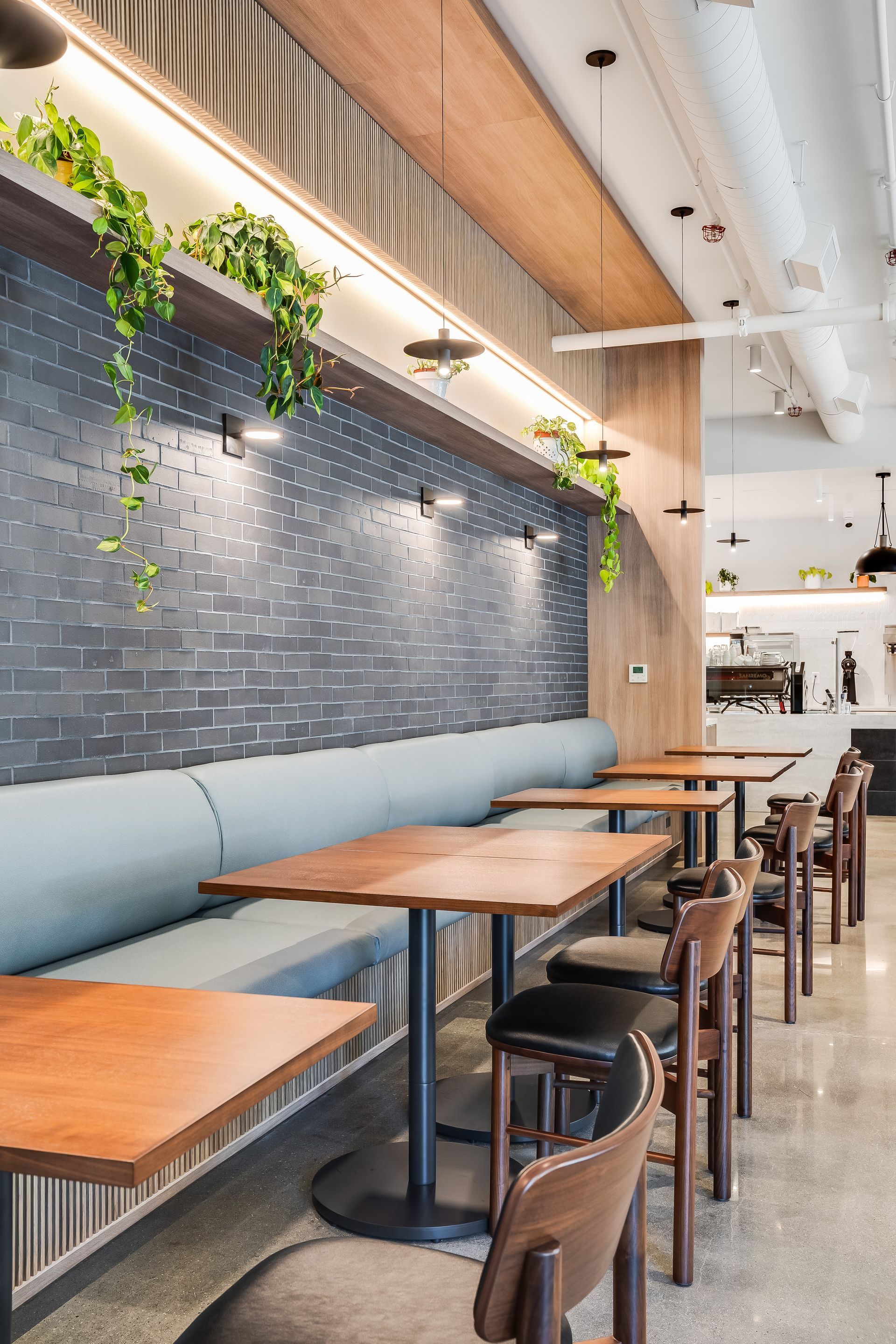 Modern café interior with wooden tables, blue bench seating, gray tile wall, and hanging plants